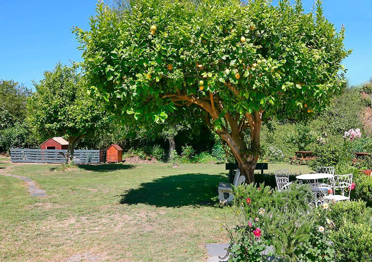 Pensión Casa Elena Reinante Exterior foto